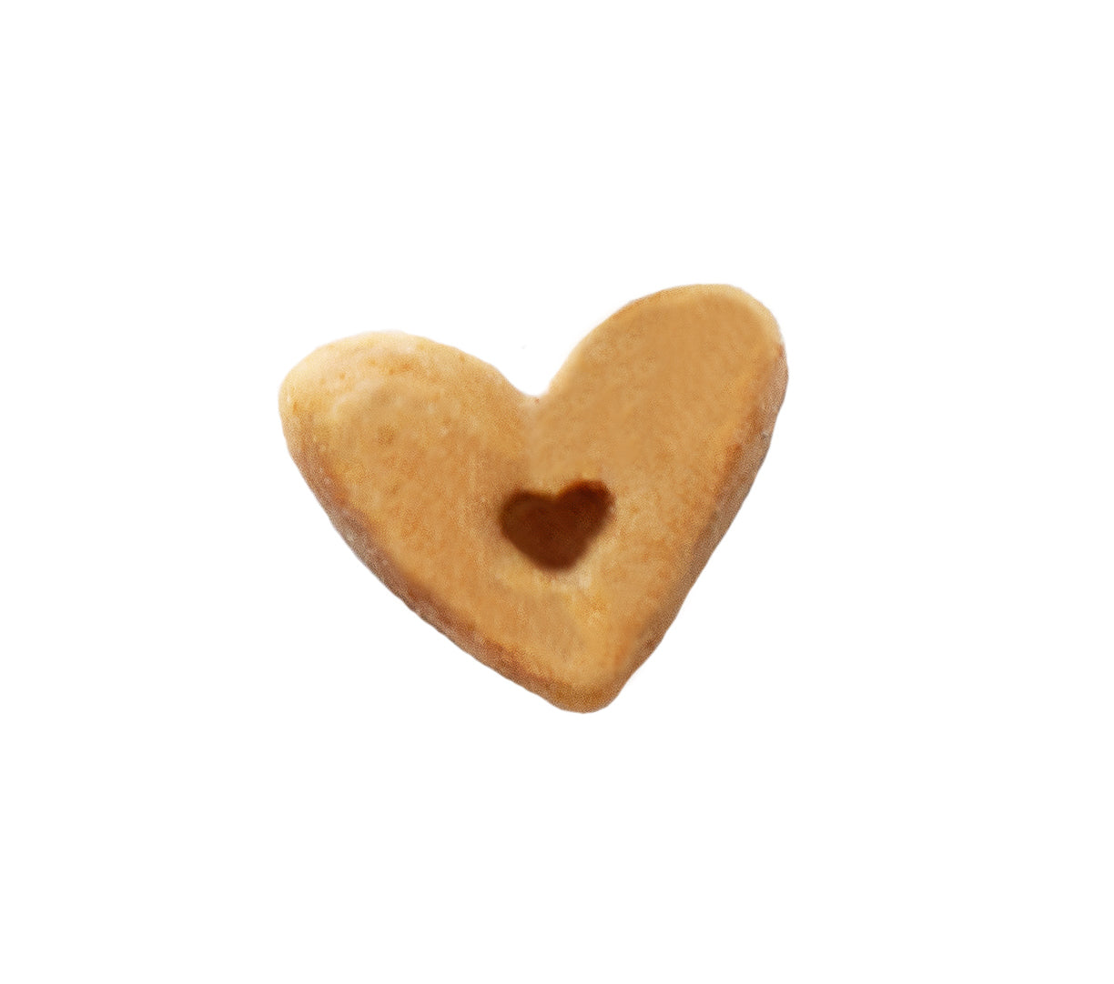 Lil Biscuit Decorative Tin — Chewy Pumpkin & Cranberry