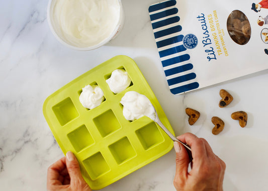 Beyond the Shake: Enrichment Games That Put Your Dog to Work