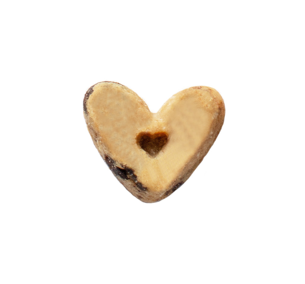 Lil Biscuit Training Bribes - Chewy Peanut Butter & Carob with Probiotics – Decorative & Refillable Tin